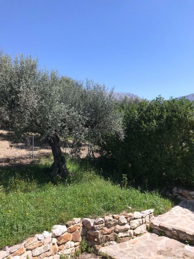 Villa Zahar Periana Kültér fotó